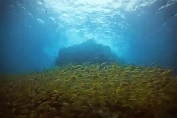 Beginner scuba diving courses at Koh Chang