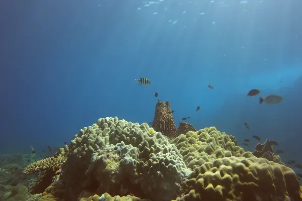 Tauchkurse auf Koh Chang