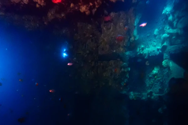 Technical diving courses – decompression, sidemount, trimix