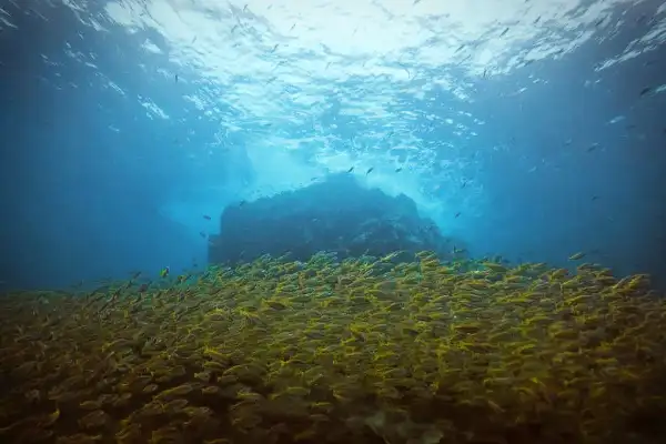 Dive sites at Koh Chang – wrecks, reefs and coral gardens
