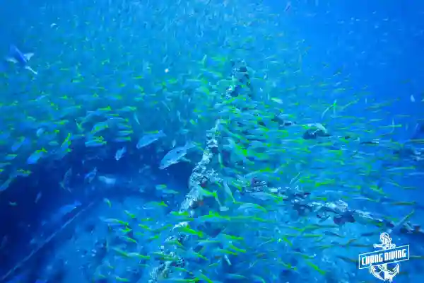HTMS Chang Wrack – Ansicht von der Wasseroberfläche