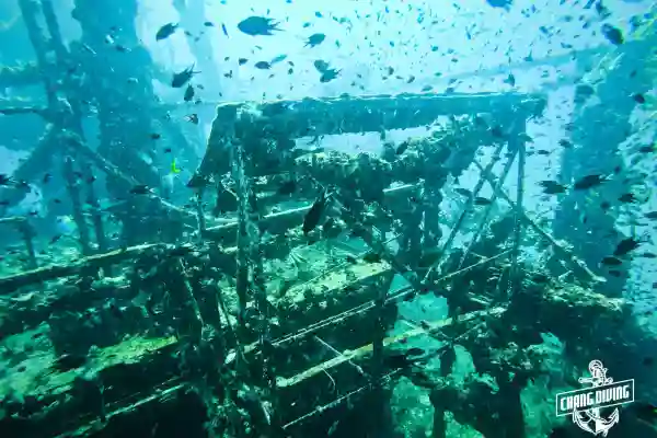 Taucher steigen zum HTMS Chang Wrack in Koh Chang ab