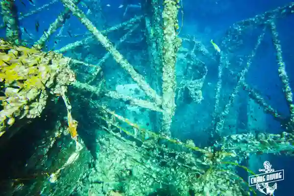 Struktur des HTMS Chang unter Wasser mit Korallenbewuchs