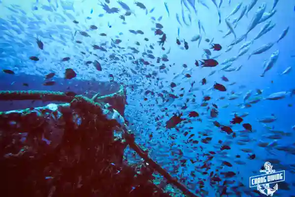 HTMS Chang Wrack – Ansicht von der Wasseroberfläche