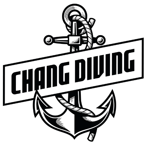 ช้างไดฟ์วิ่ง Logo Dark