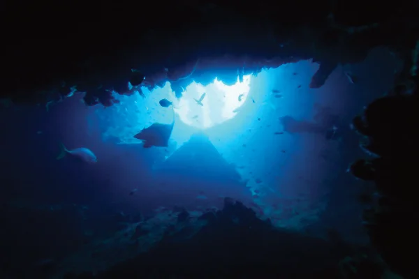 Advanced wreck diving training Koh Chang – line work and wreck procedures at HTMS Chang