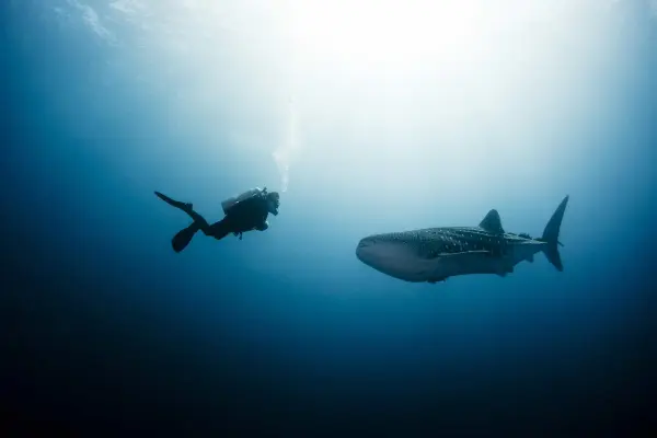 Deep Diver Kurs Koh Chang - Professionelle Tauchausbildung für Tiefen bis 40 Meter