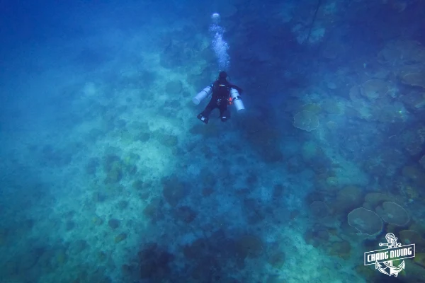 Deep Diver Spezialkurs Studenten unter Wasser - Lernen von Gasmanagement und Narkose-Präventionsverfahren