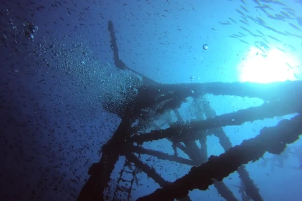 Open Water bis Divemaster Praktikum Lehrfähigkeiten und Führungskräfteentwicklung