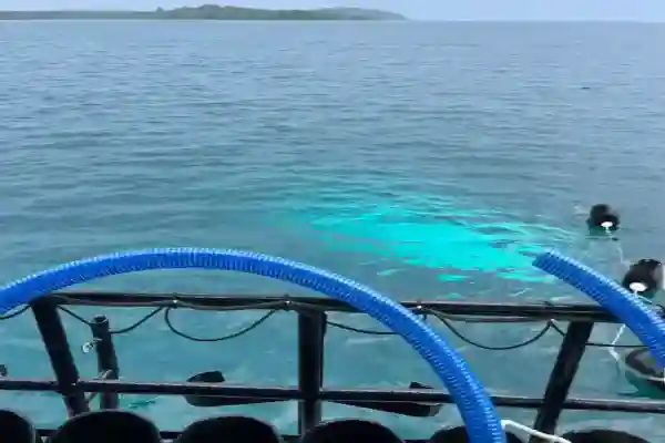 Taucher übt Suchmuster während des Search and Recovery Kurses