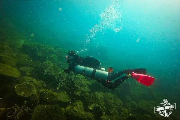 Solo-Taucher demonstriert Notfallprotokolle und Selbstrettungstechniken unter Wasser